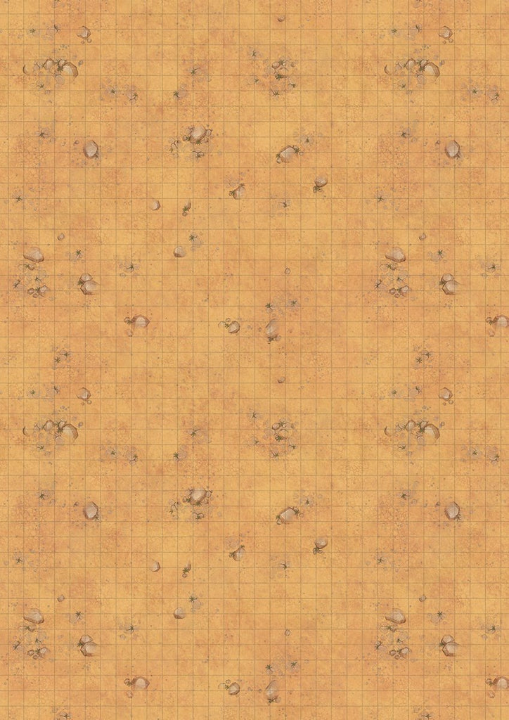 Big Battle Map - Desert - PRINT ON DEMAND - Imaginary Adventures